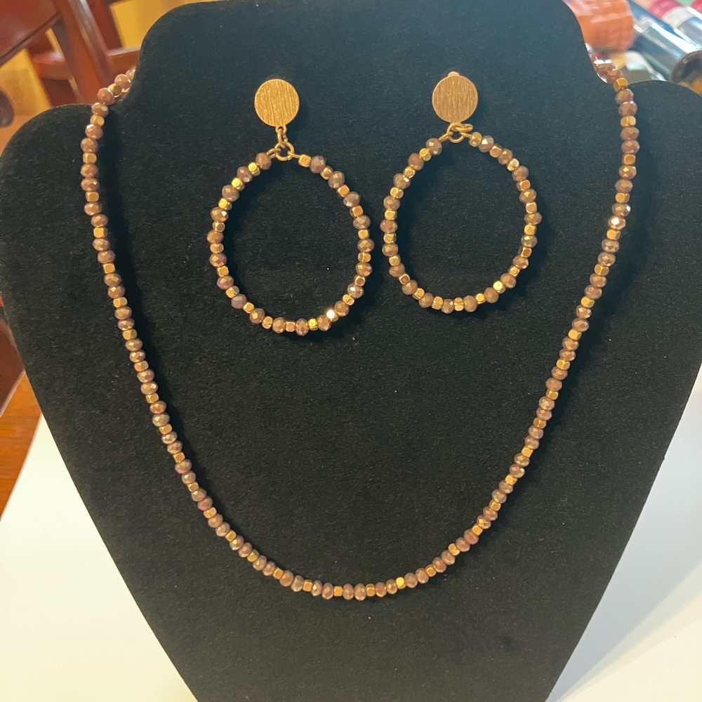 Elegant Beaded Necklace and Earring Set